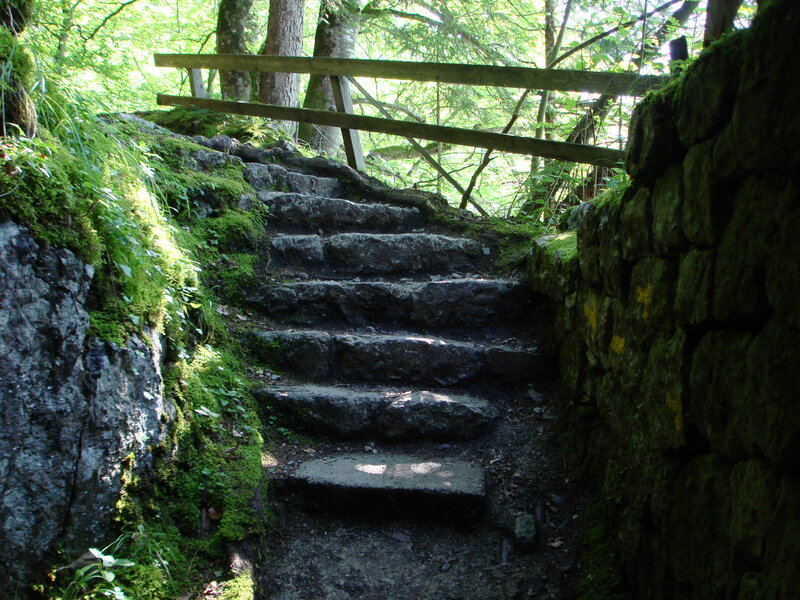Stone Steps in Forest — Green, Serene, Afternoon