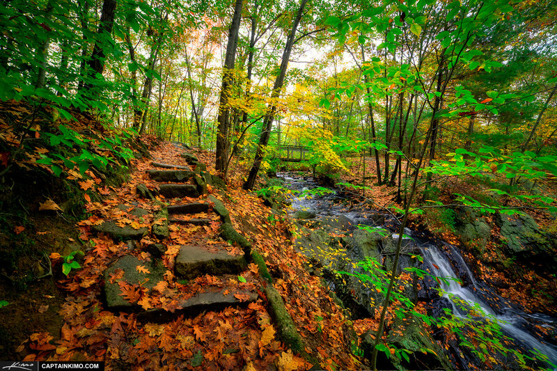 Stone Steps in Forest — Green, Serene, Autumn, Photograph, Stream