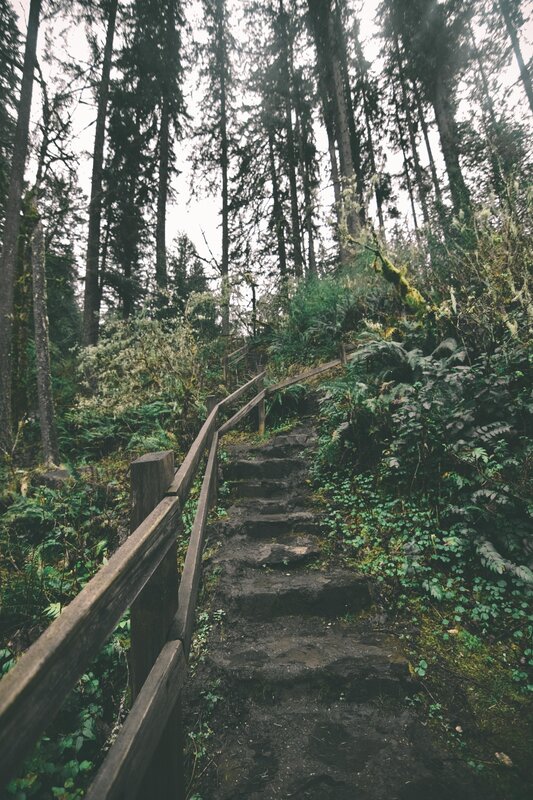 Stone Steps in Forest — Green, Serene, Morning, Photograph, Wooden Railing