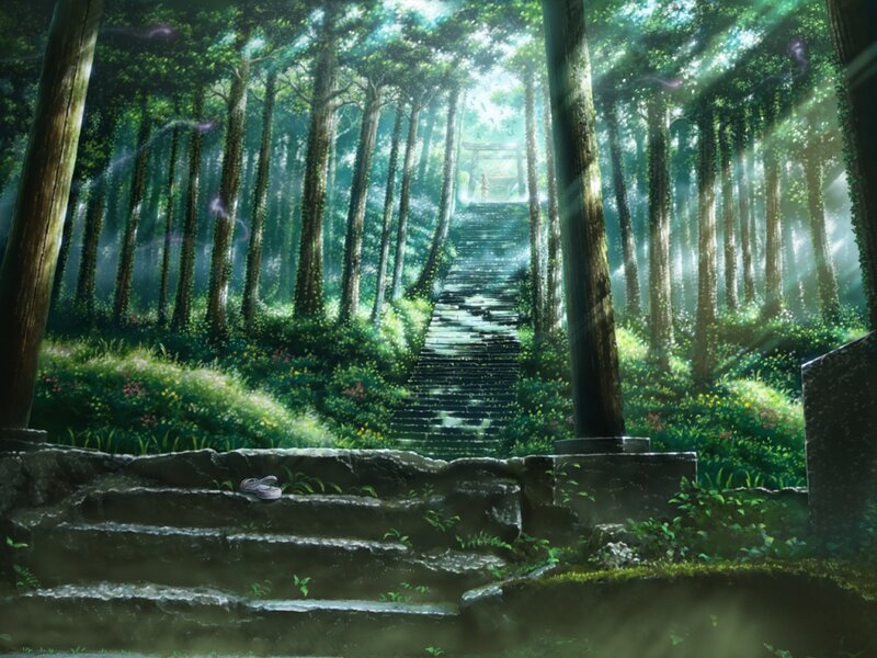 Stone Steps in Forest — Green, Serene, Morning