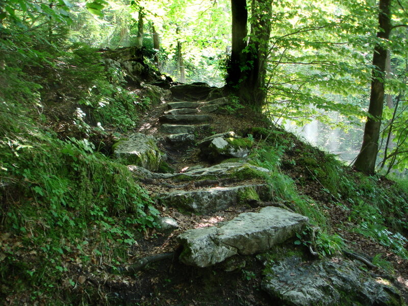Stone Steps in Forest — Green, Serene
