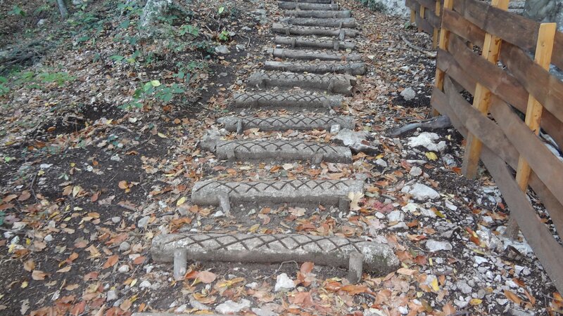 stone steps in forest