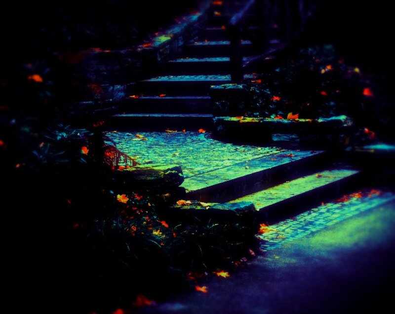 Stone Steps in Garden — Blue