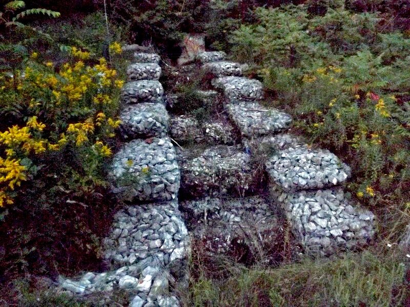 Stone Steps in Garden — Green, Natural