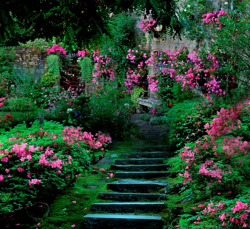 Stone Steps in Garden — Green, Serene, Afternoon, Photograph, Flowers