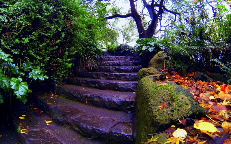 Stone Steps in Garden — Green, Serene, Autumn