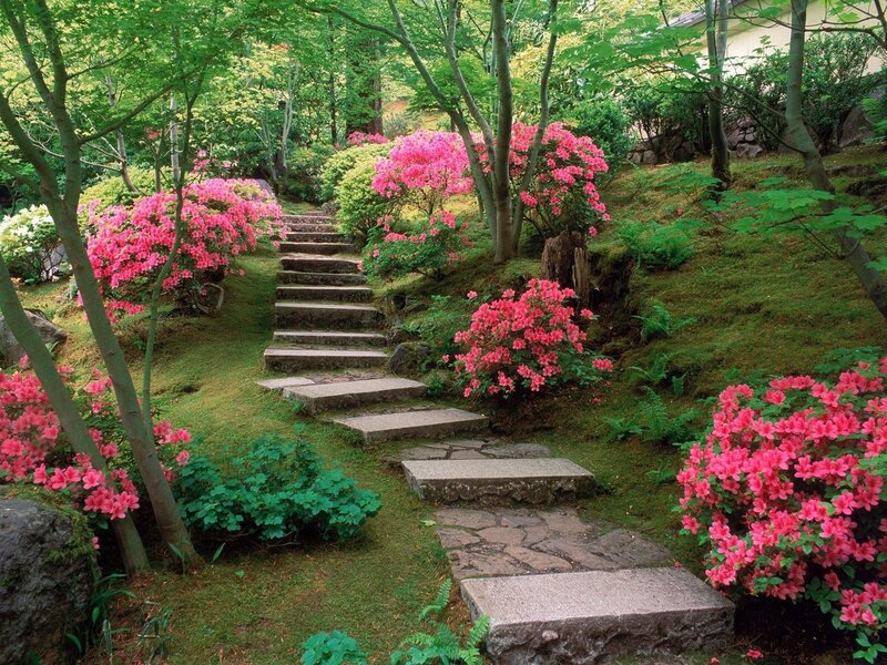 Stone Steps in Garden — Green, Serene, Spring, Photograph, Flowers, Trees, Moss, Pink
