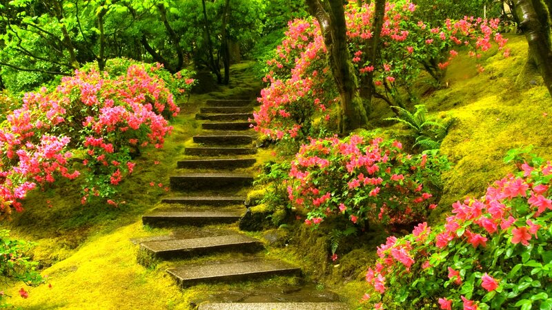 Stone Steps in Garden — Green, Serene, Spring, Photograph