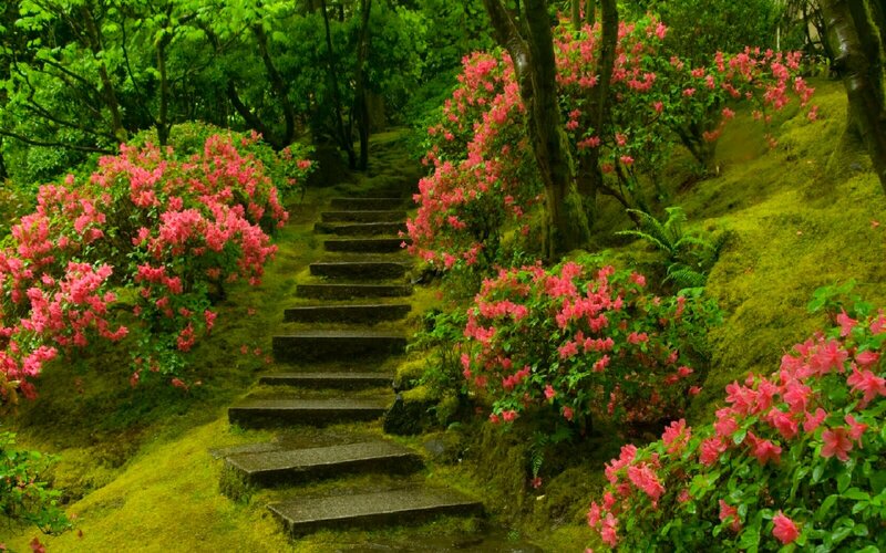 Stone Steps in Garden — Green, Serene, Spring