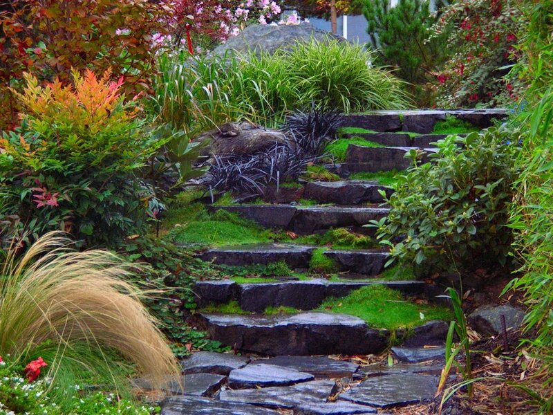 Stone Steps in Garden — Green