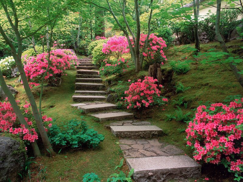 Stone Steps in Garden — Photograph