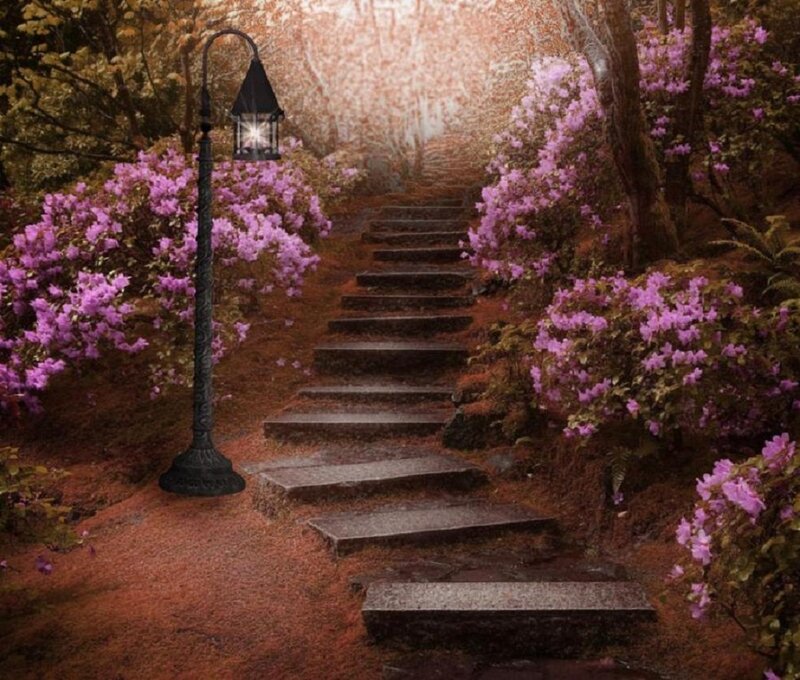 Stone Steps in Garden — Purple