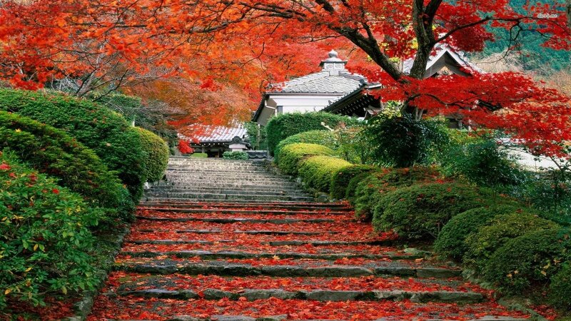Stone Steps in Garden — Red, Serene, Autumn