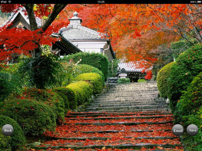 Stone Steps in Garden — Red, Serene
