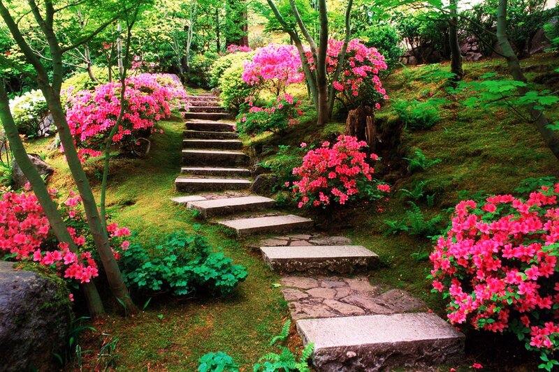 Stone Steps in Garden — Spring