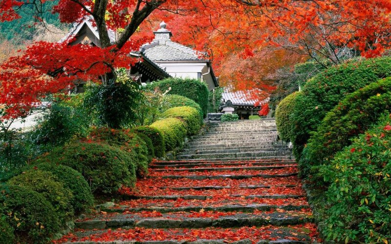 Stone Steps in Garden