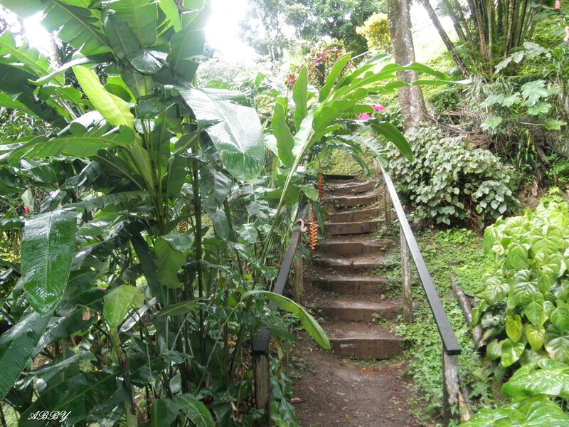 Stone Steps in Jungle — Green