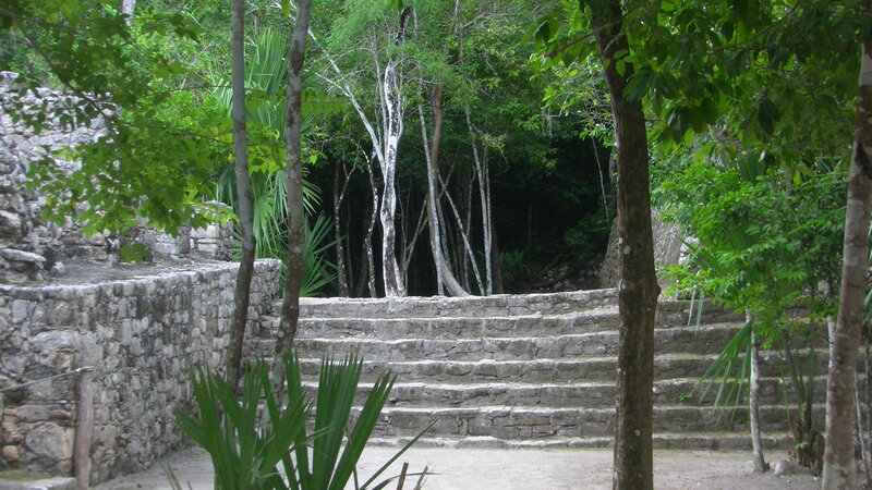 Stone Steps in Jungle