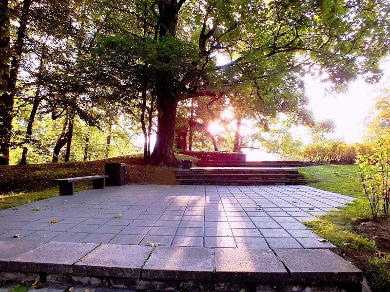 Stone Steps in Park