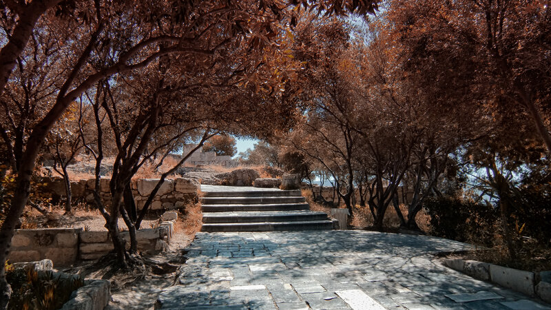 Stone Steps in Trees