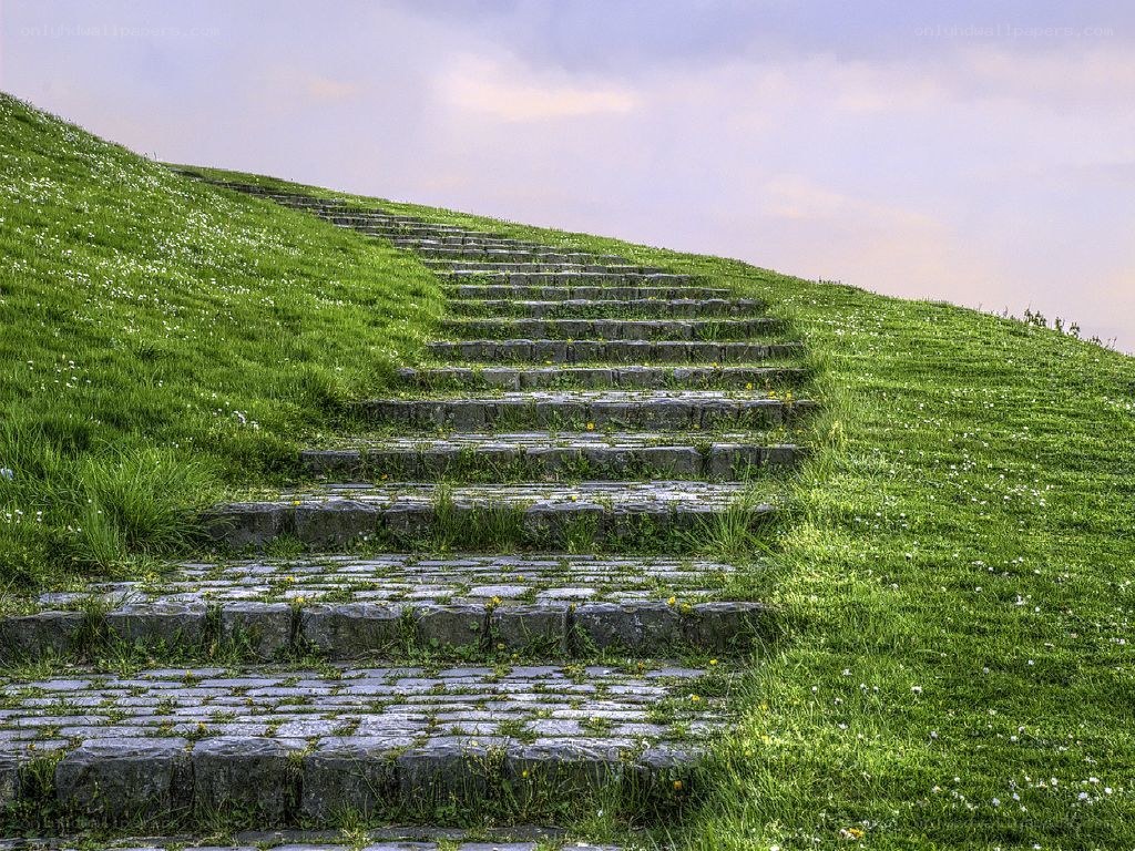 Stone steps on a grassy hill