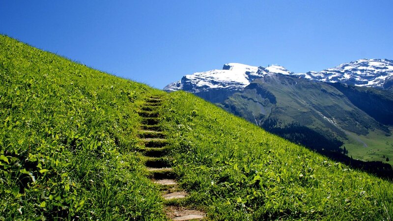 Stone Steps on Grassy Hill