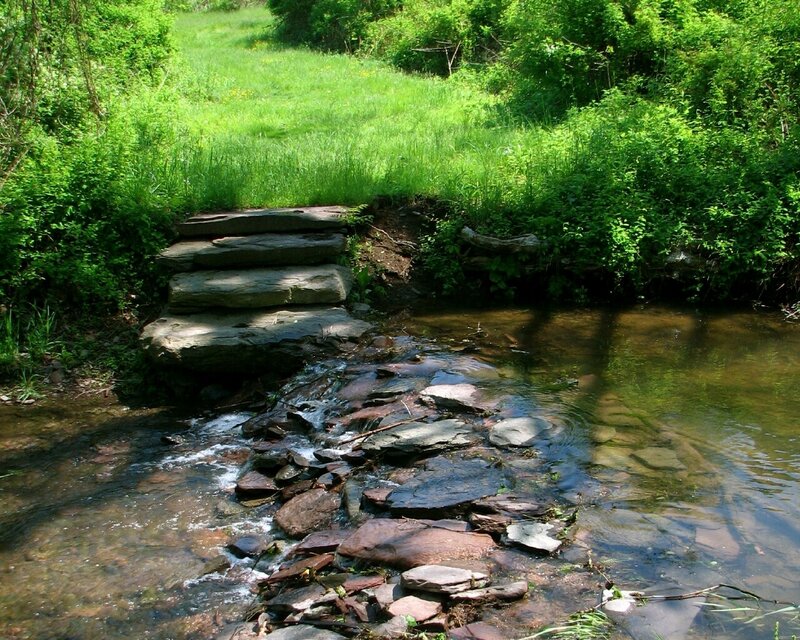 Stone steps over a stream
