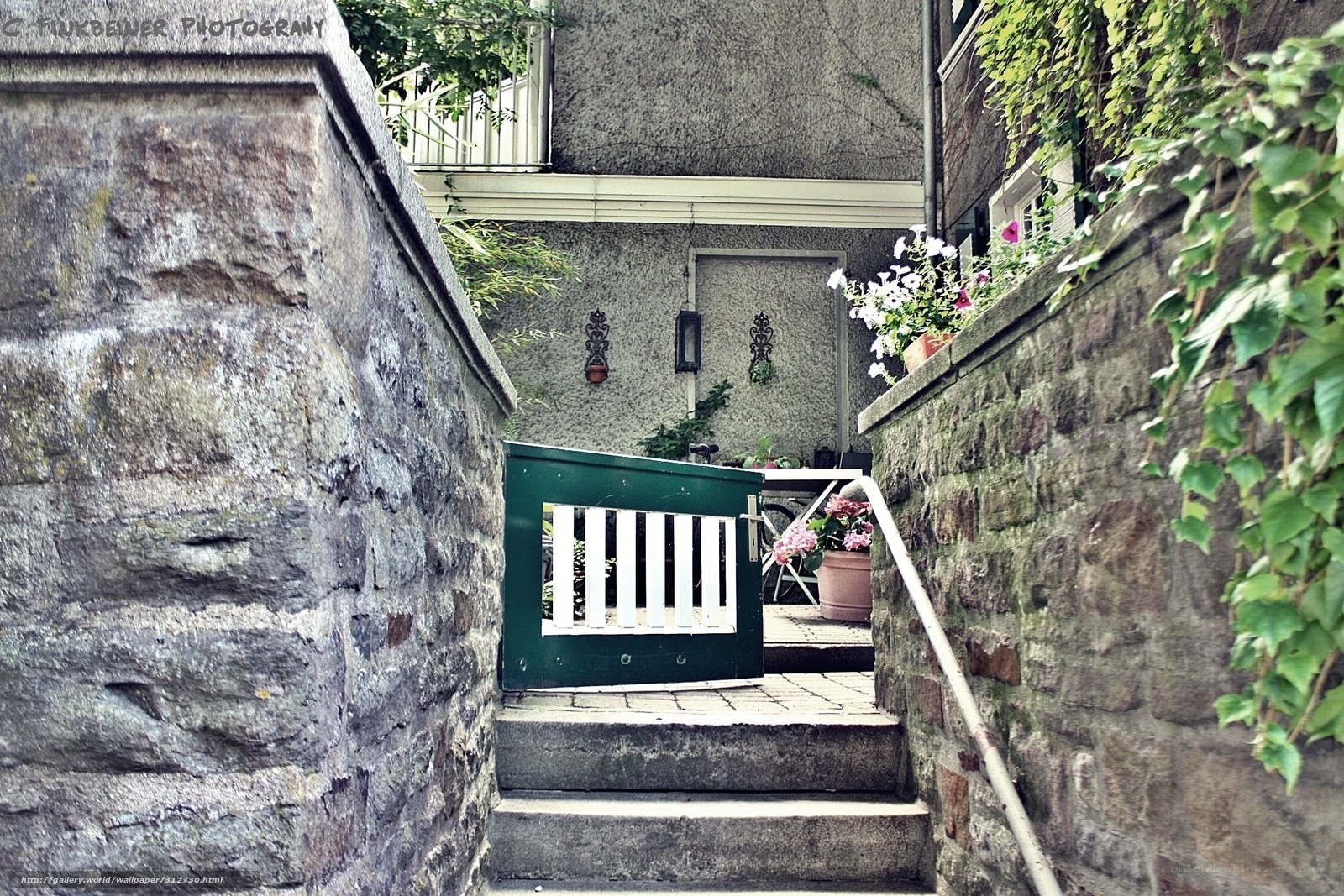 Stone steps to a garden gate