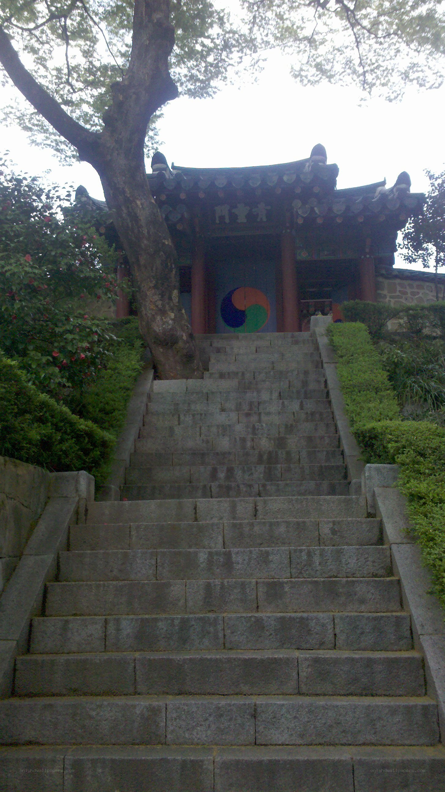 Stone steps to a traditional Korean gate