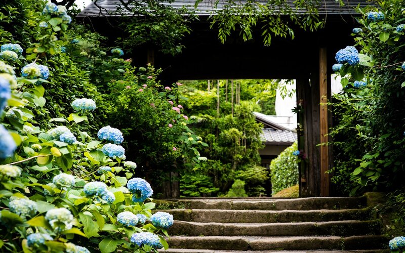 Stone Steps under Gate