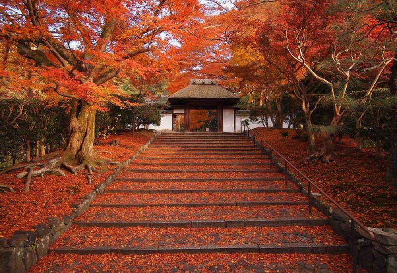 Stone Steps with Autumn Leaves — Red, Serene