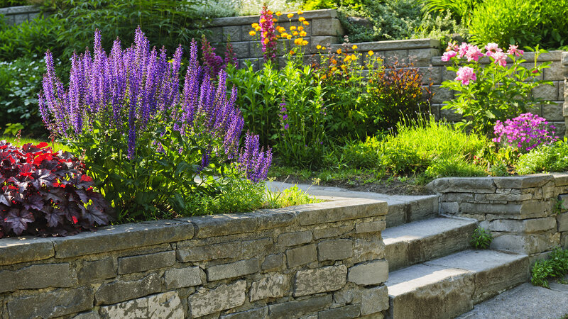 Stone Steps with Flowers — Purple