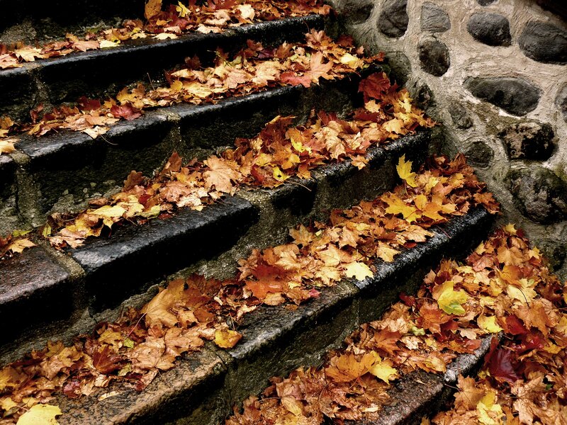 Stone Steps with Leaves