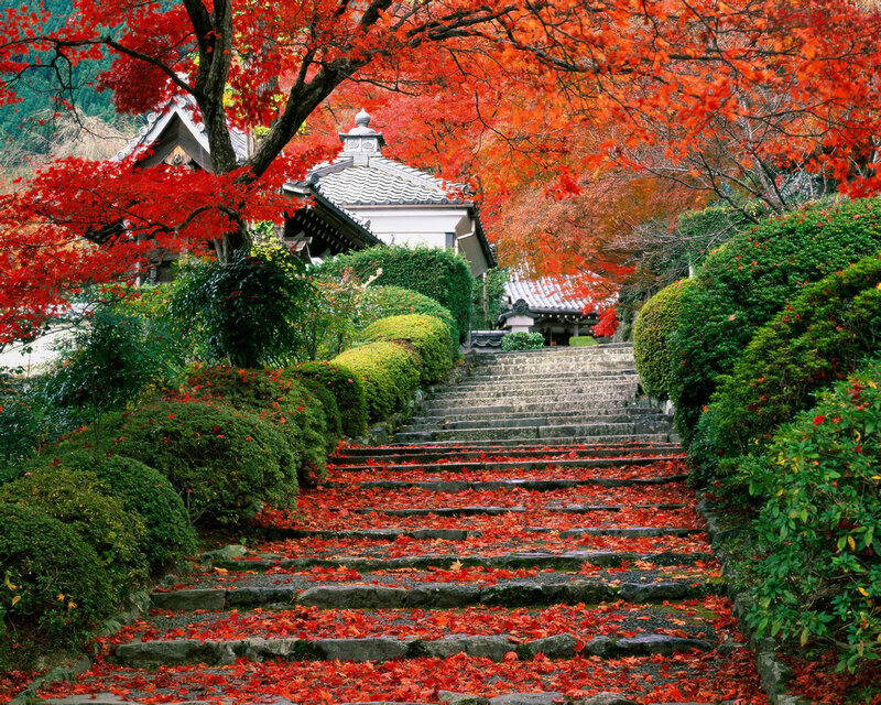 Stone Steps with Red Leaves — Serene, Autumn