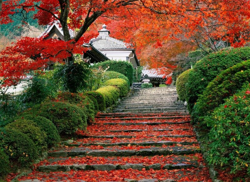 Stone Steps with Red Leaves