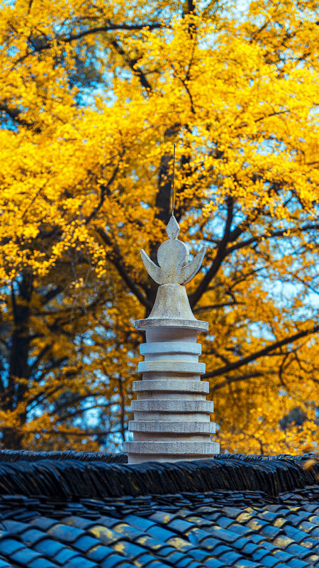 Stone Stupa on Roof