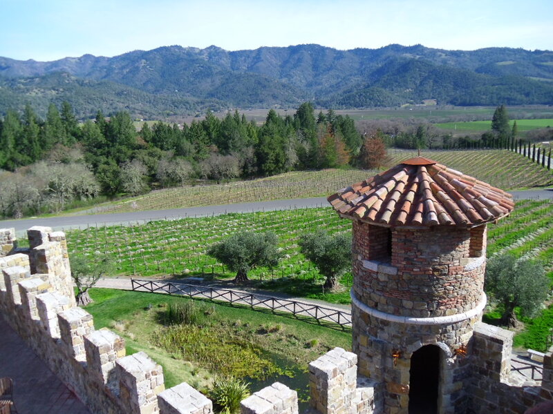 Stone Tower in Vineyard