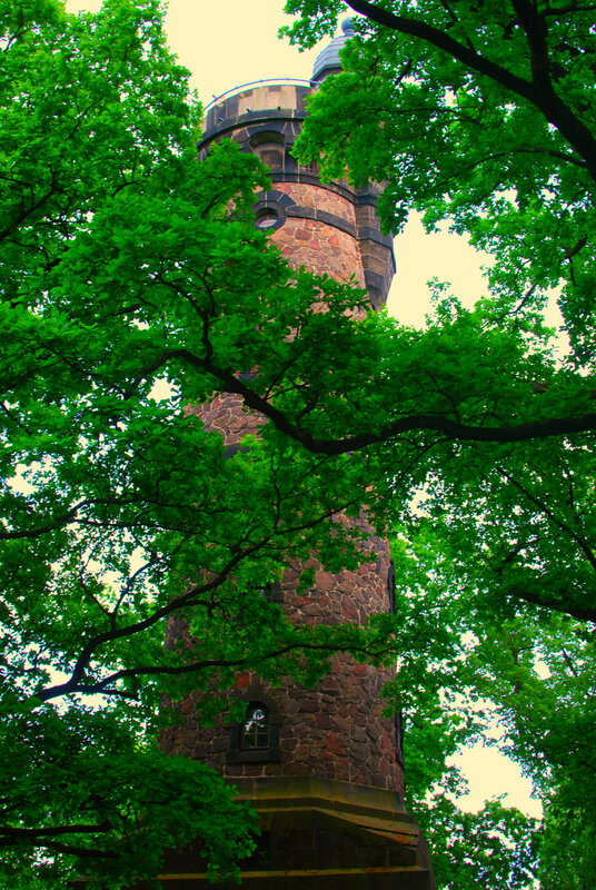 Stone Tower Through Trees
