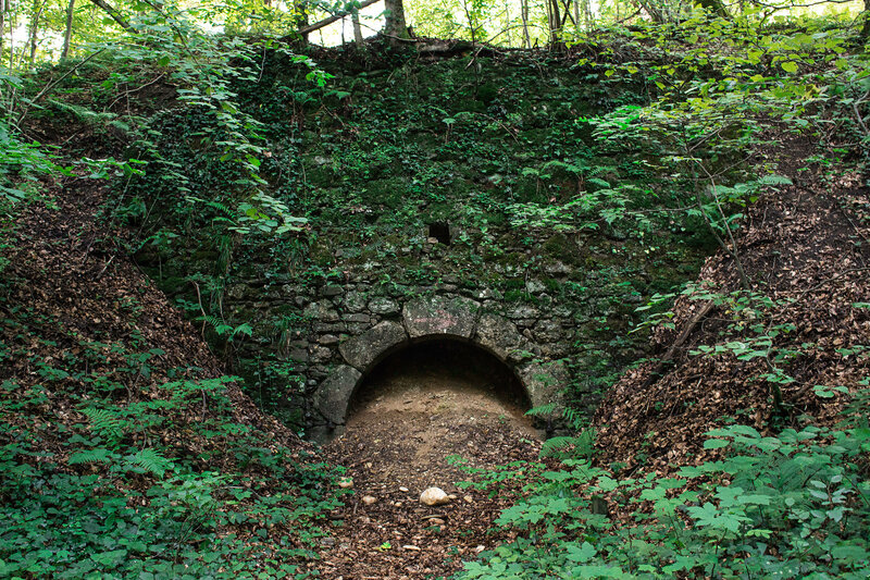 Stone Tunnel in Forest — Green, Overgrown