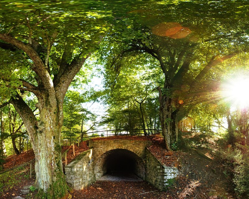 Stone Tunnel in Forest — Green