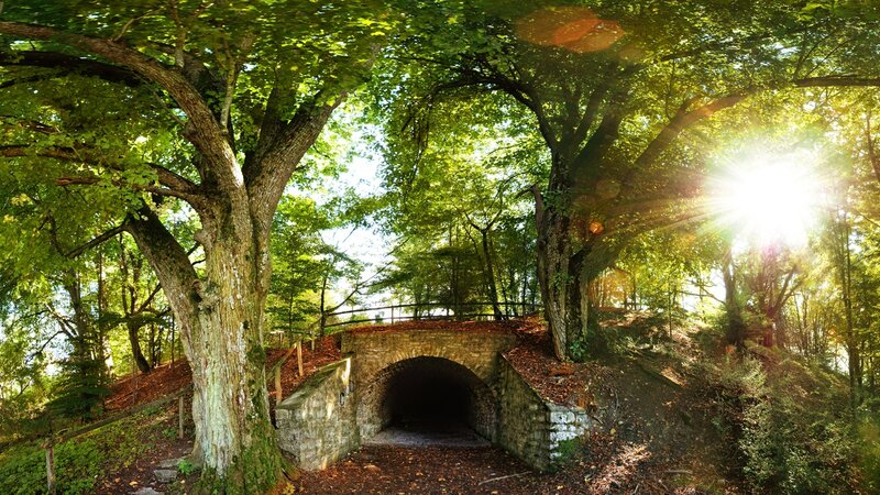 Stone Tunnel in Forest