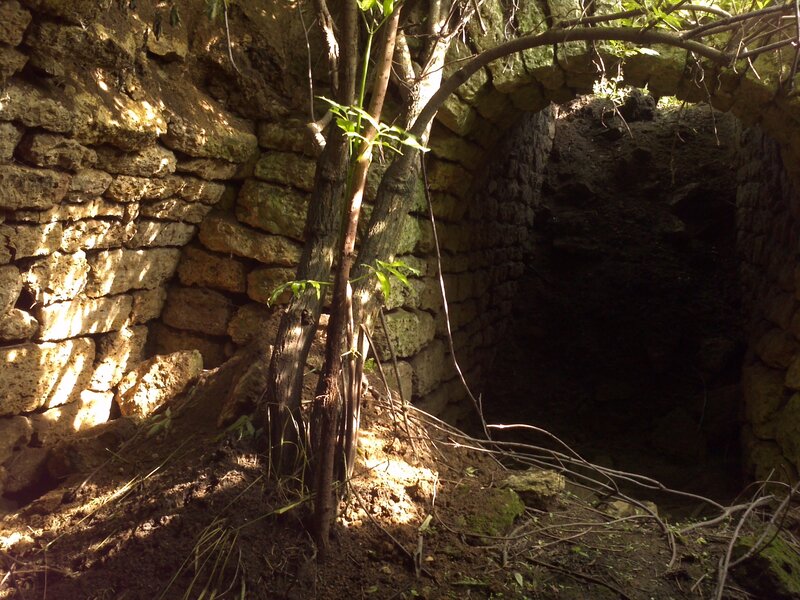 Stone tunnel with tree
