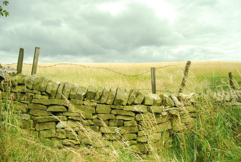 Stone wall in a grassy field