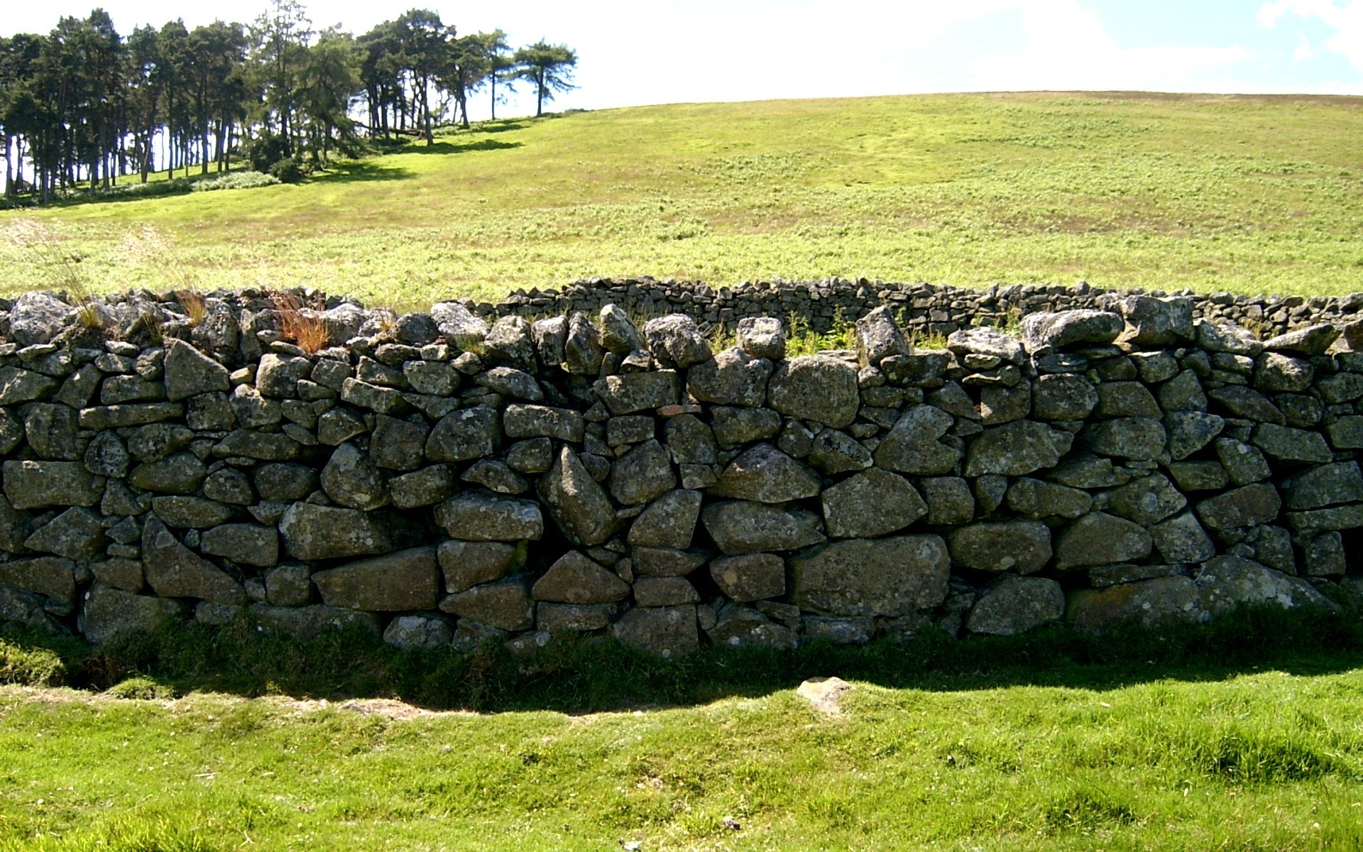Stone wall in a green field