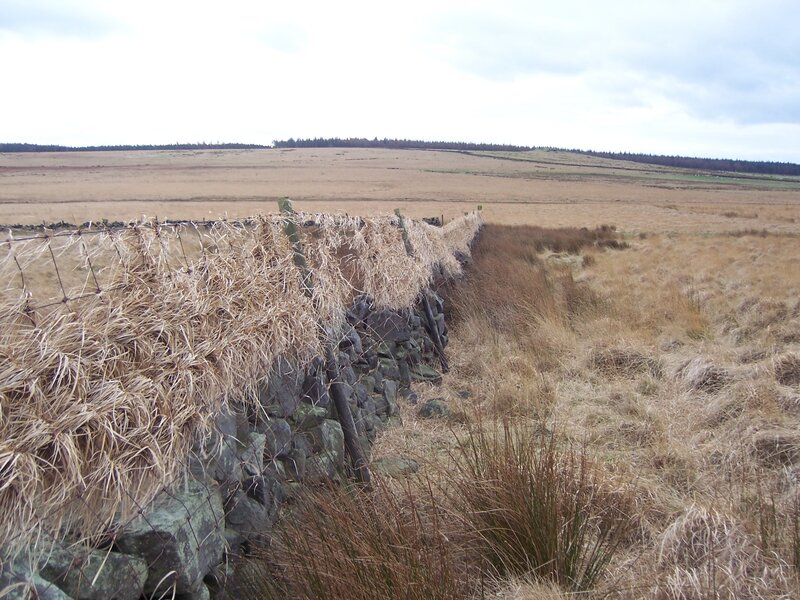 Stone wall in a rural field