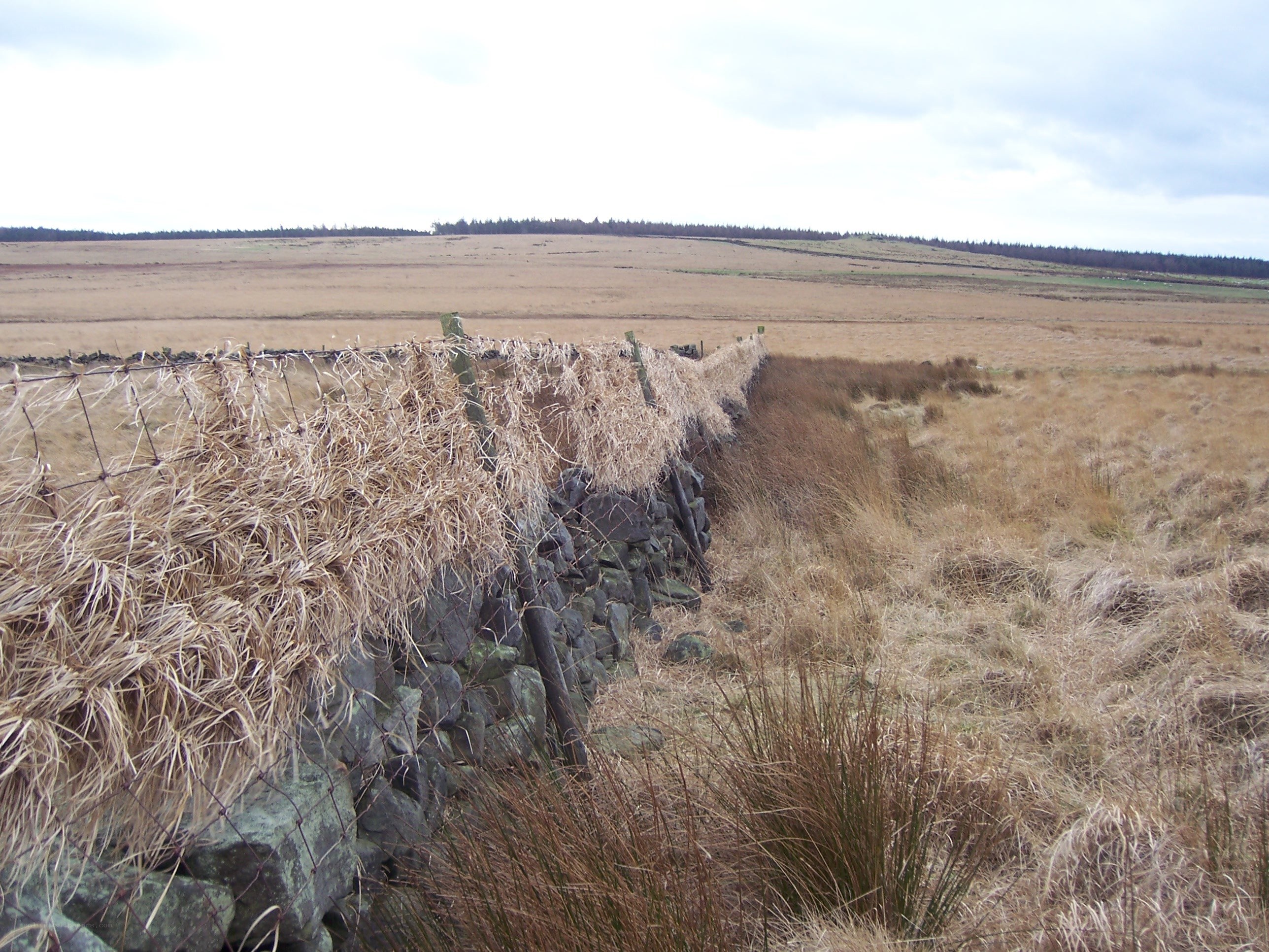 Stone wall in a rural field