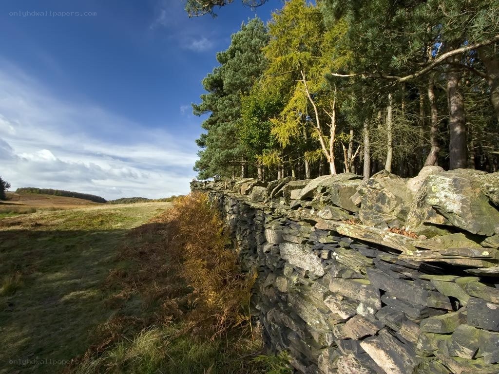Stone wall in a rural landscape