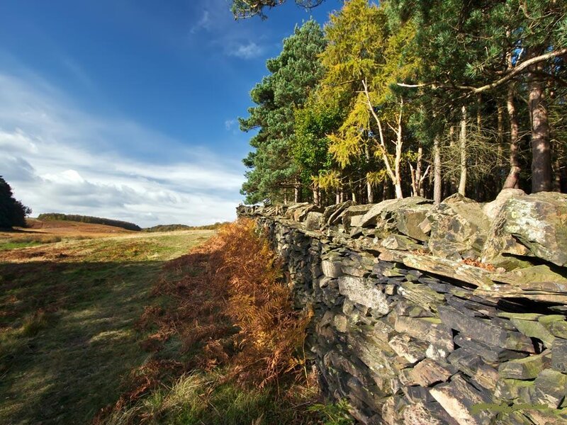 Stone wall in a rural landscape