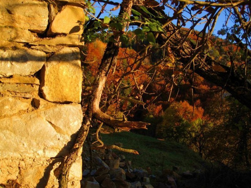 Stone Wall in Autumn
