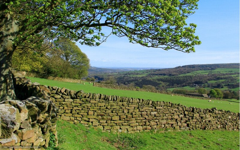Stone Wall in Countryside — Green